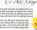 Có Phải Không?