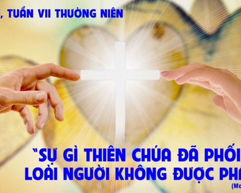 THỨ SÁU TUẦN VII THƯỜNG NIÊN Mc 10,1-12