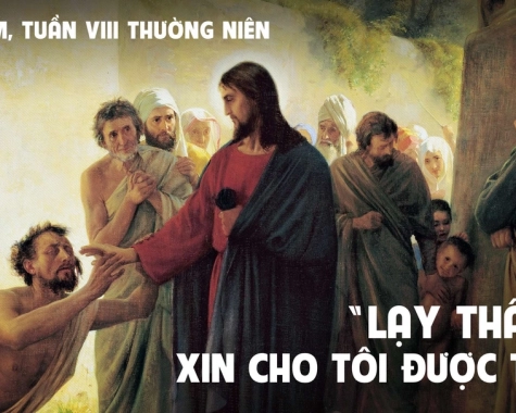 SUY NIỆM THỨ NĂM TUẦN VIII THƯỜNG NIÊN