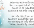 Hỏi cuộc đời