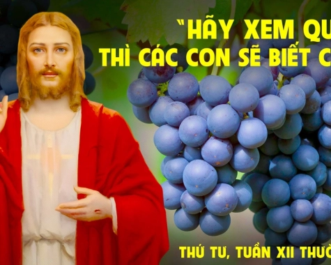 SUY NIỆM THỨ TƯ TUẦN XII THƯỜNG NIÊN