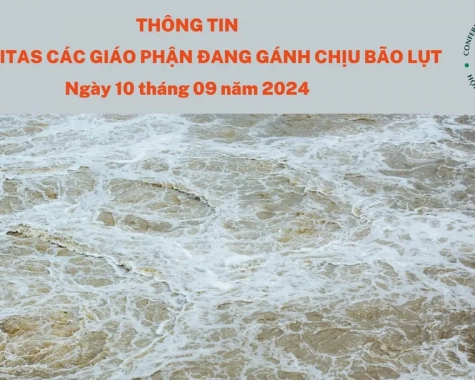 THÔNG TIN VỀ CARITAS CÁC GIÁO PHẬN ĐANG GÁNH CHỊU BÃO LỤT