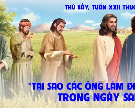 SUY NIỆM THỨ BẢY TUẦN XXII THƯỜNG NIÊN