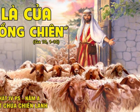 Chúa Nhật 4 Phục Sinh - A