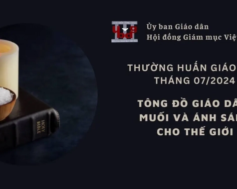 ỦY BAN GIÁO DÂN - THƯỜNG HUẤN THÁNG 07/2024: TÔNG ĐỒ GIÁO DÂN - MUỐI VÀ ÁNH SÁNG CHO THẾ GIỚI