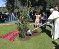 Cử hành lễ Thánh Phanxicô tại Vườn Vatican