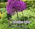 Khiêm tốn có còn đất sống? (01)
