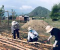 Caritas Phan Thiết: Hỗ Trợ Khẩn Cấp Và Lâu Dài Cho Một Số Anh Chị Em Đồng Bào Dân Tộc Thiểu Số