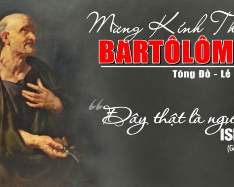 THÁNH BATÔLÔMÊÔ, TÔNG ĐỒ