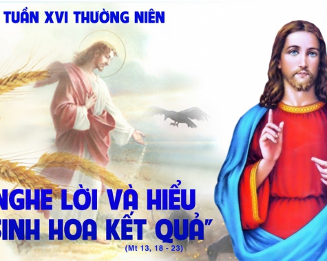 Thứ Sáu tuần 16 thường niên
