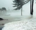 Lạ lùng: Thủ phạm phá nhà thờ yên trí bão đã đánh sập các camera, ngơ ngác khi bị bắt rất mau.