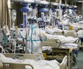 Y tá Công Giáo Vũ Hán: 6 bác sĩ mất mạng, hàng ngàn y tá và bác sĩ nhiễm bệnh, tham ô tràn lan