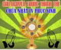 Cầu nguyện trước Thánh Thể- Ngày 12.05.2019 – Chúa nhật IV Phục Sinh – Ga 10,27-30