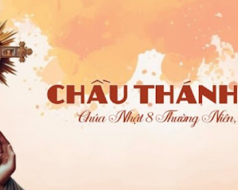 CHẦU THÁNH THỂ – CHÚA NHẬT VIII THƯỜNG NIÊN, NĂM C