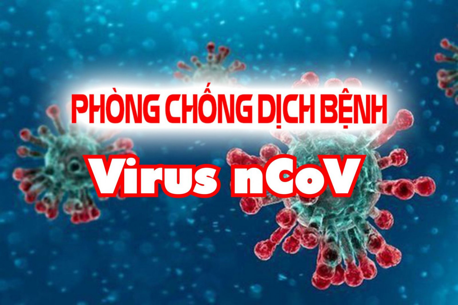 Khuyến cáo về Phòng chống Bệnh Viêm Đường Hô Hấp Cấp do chủng mới Corona Virus (2019-nCoV) tại các Cơ sở Tôn Giáo